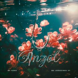Cover of Anzol