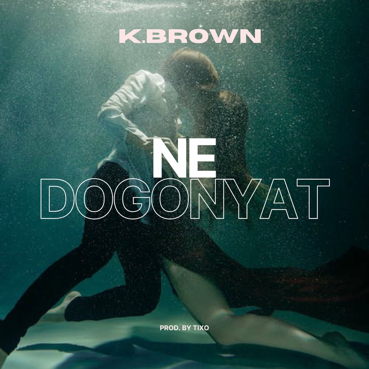 Album cover of Ne Dogonyat