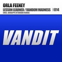 Cover of Lesson Learned / Random Madness