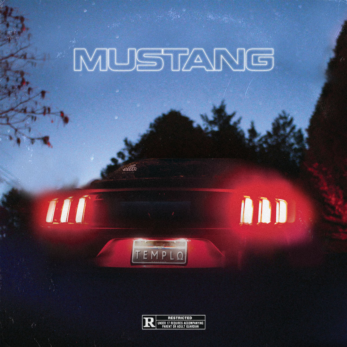 Album cover of Mustang