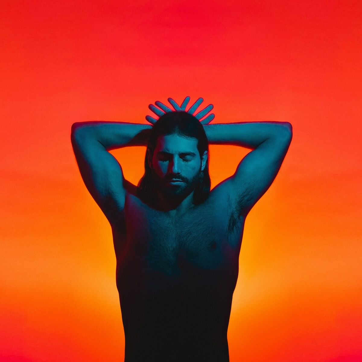Album cover of cervo
