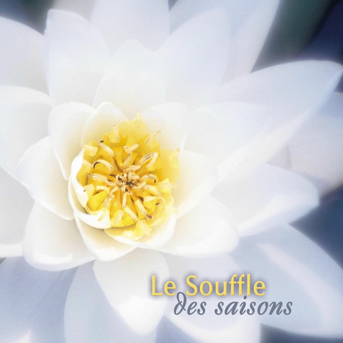 Album cover of Le souffle des saisons