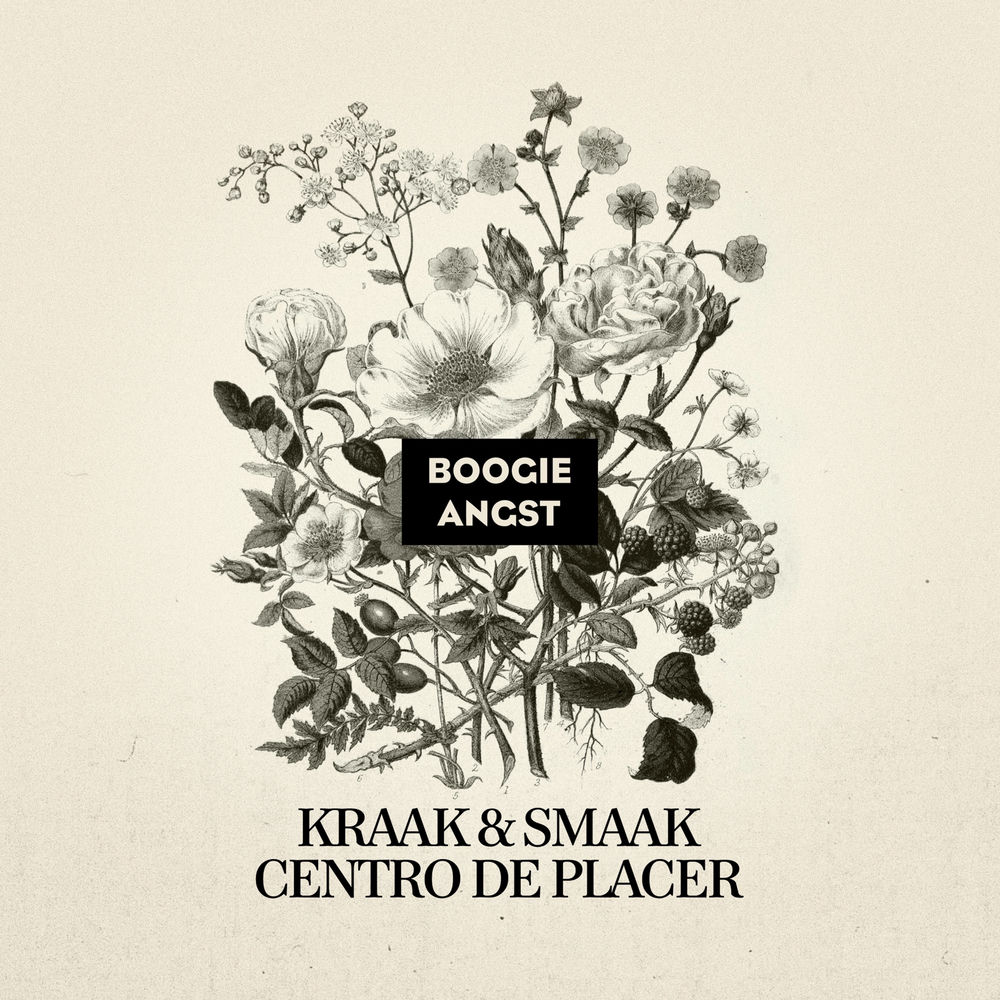 Centro de Placer album cover