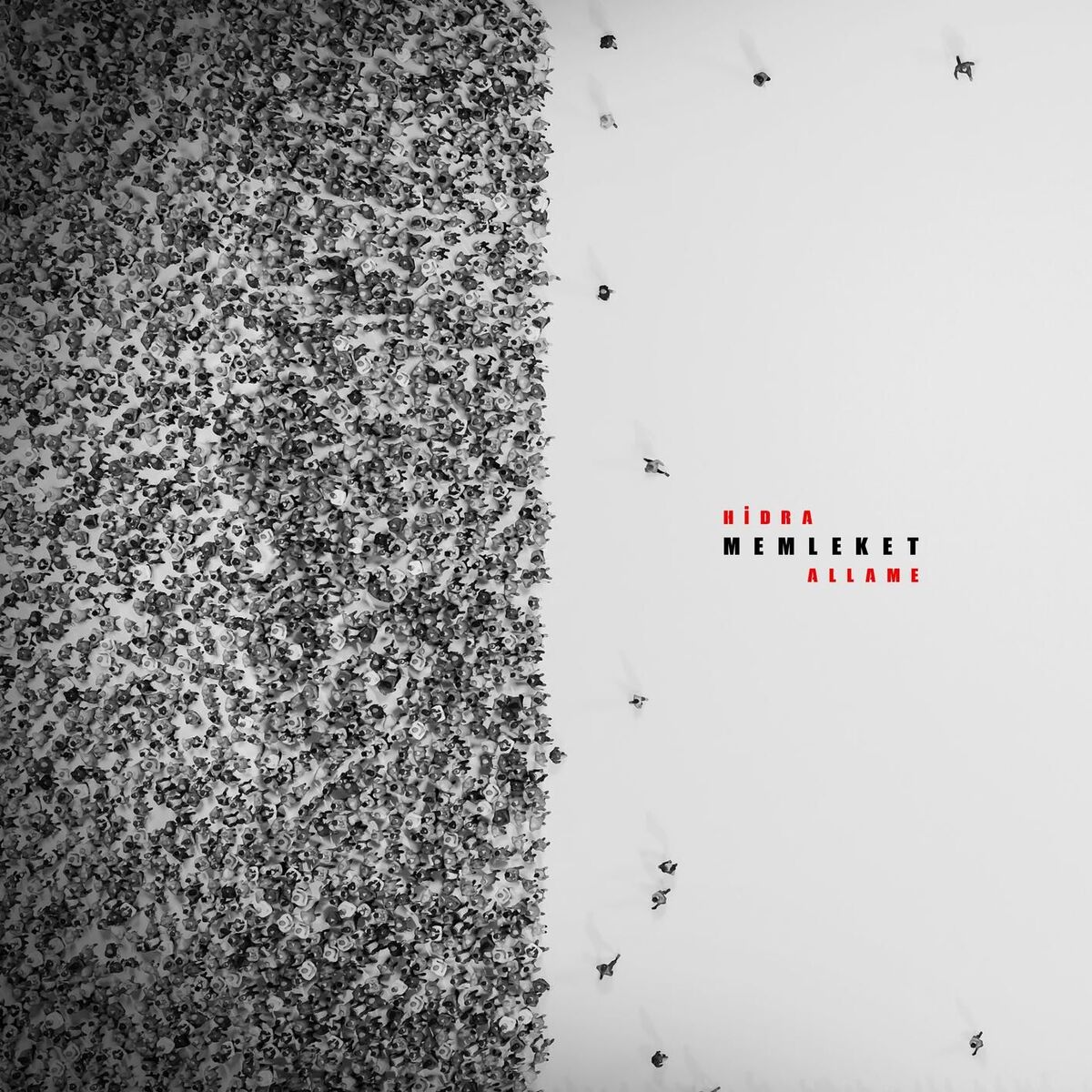 Album cover of Memleket