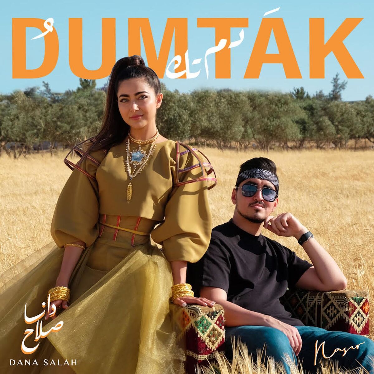 Album cover of Dum Tak