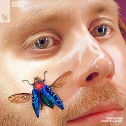Cover of Turpentine