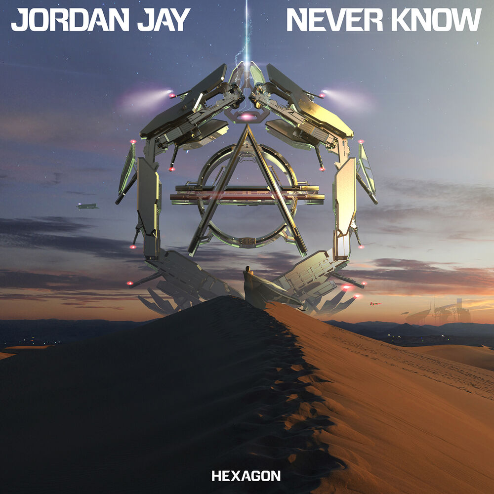Picture of Never Know