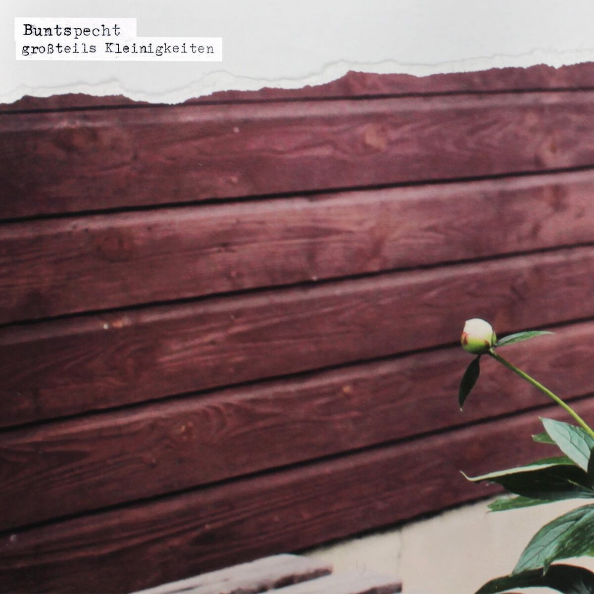 Album cover of Brennnesseln