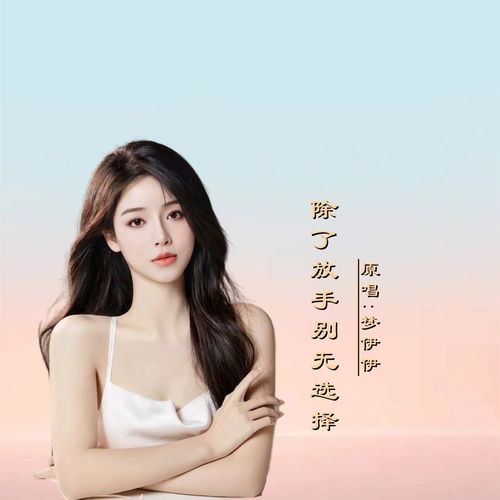除了放手别无选择DJ