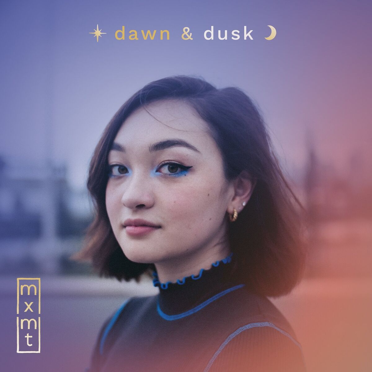 Album cover of fever dream