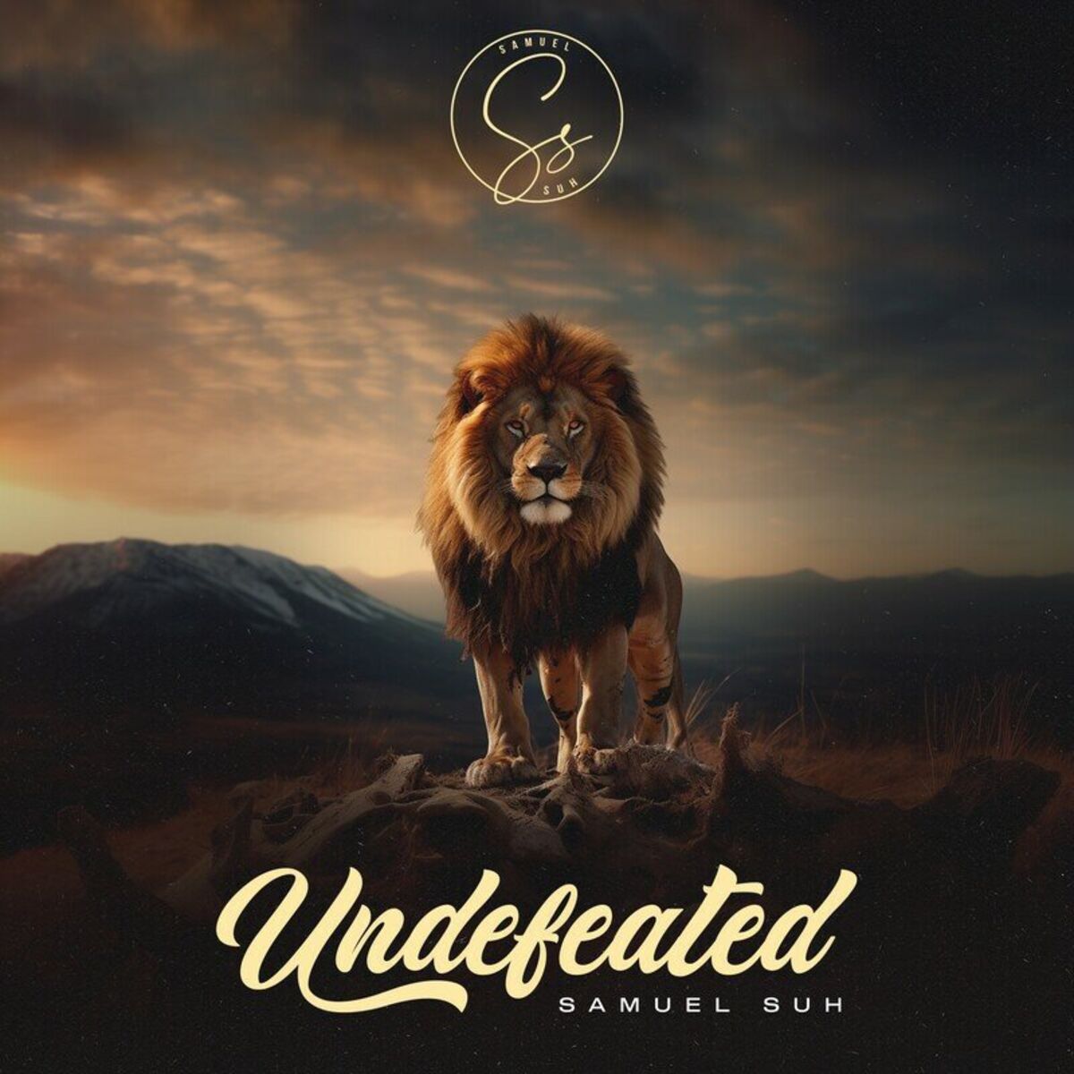 Album cover of Undefeated