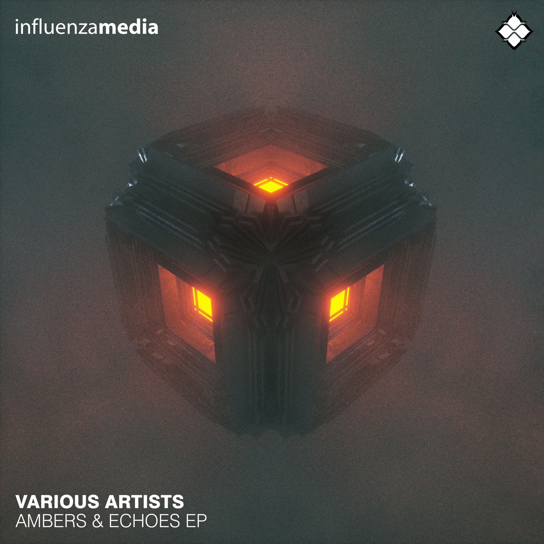 Album cover of Ambers & Echoes EP