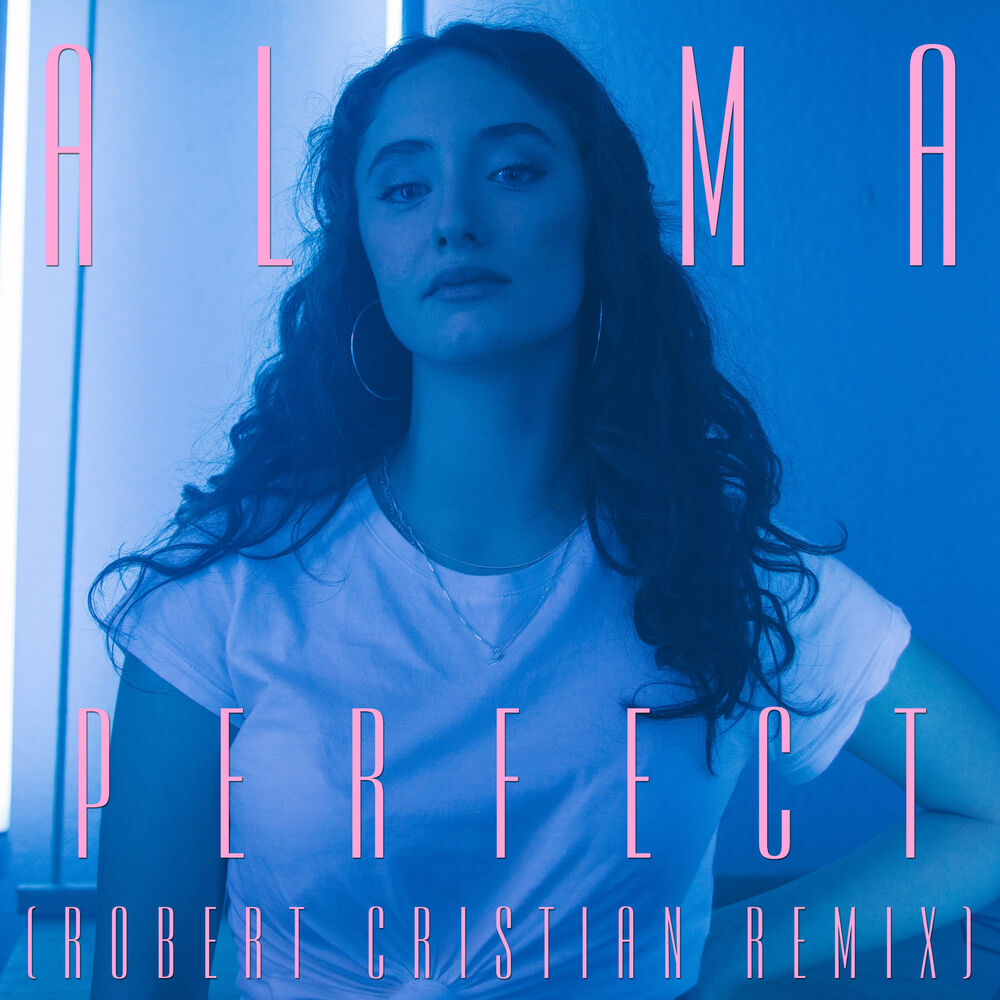 Picture of Perfect (Robert Cristian Remix)
