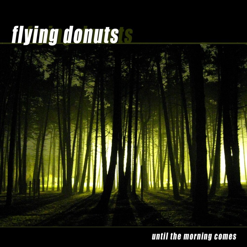 Picture of Until the morning comes