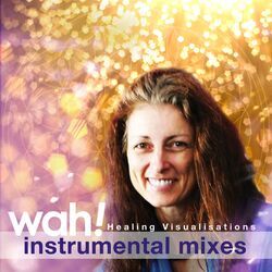 Cover of Healing Visualisations (Instrumental Mixes)