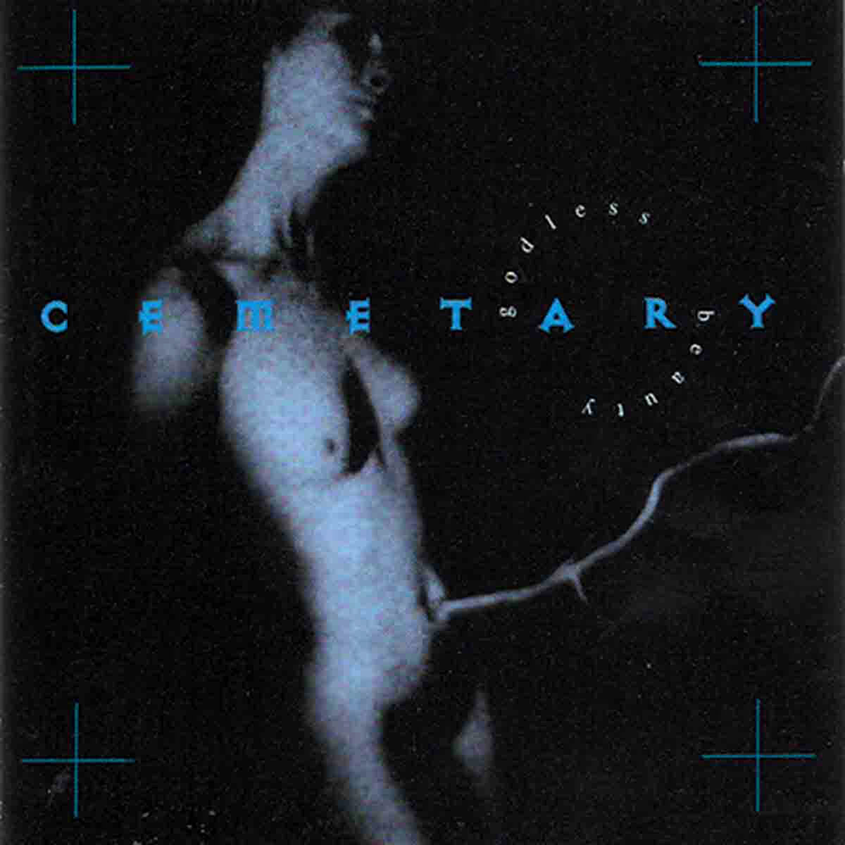 Album cover of Godless Beauty