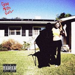 Cover of Grim Meets Evil