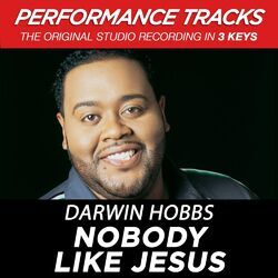 Cover of Nobody Like Jesus (Performance Tracks)