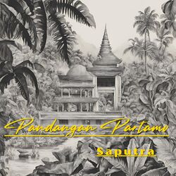 Cover of Pandangan Partamo