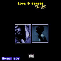 Cover of Love and stress