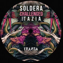 Cover of Challenged