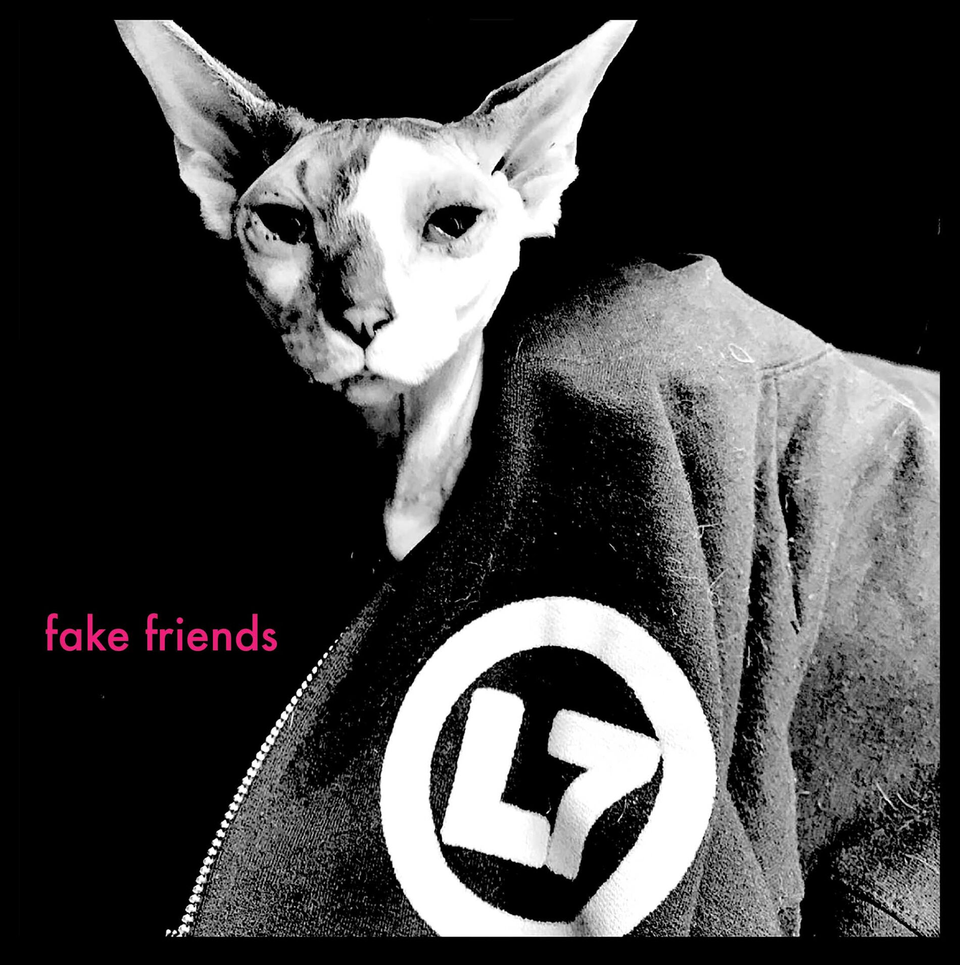 Album cover of Fake Friends (feat. Joan Jett)