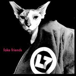 Cover of Fake Friends