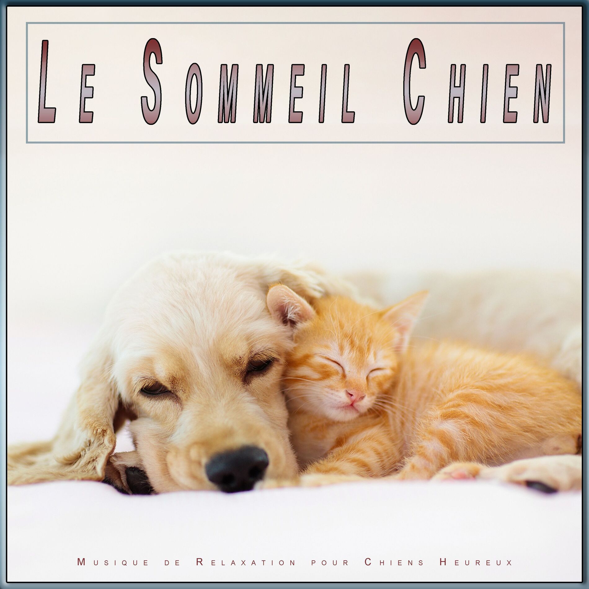 Album cover of Musique Apaisante pour Animaux
