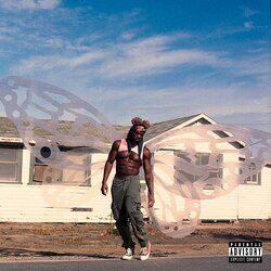 Cover of LINGO STARR