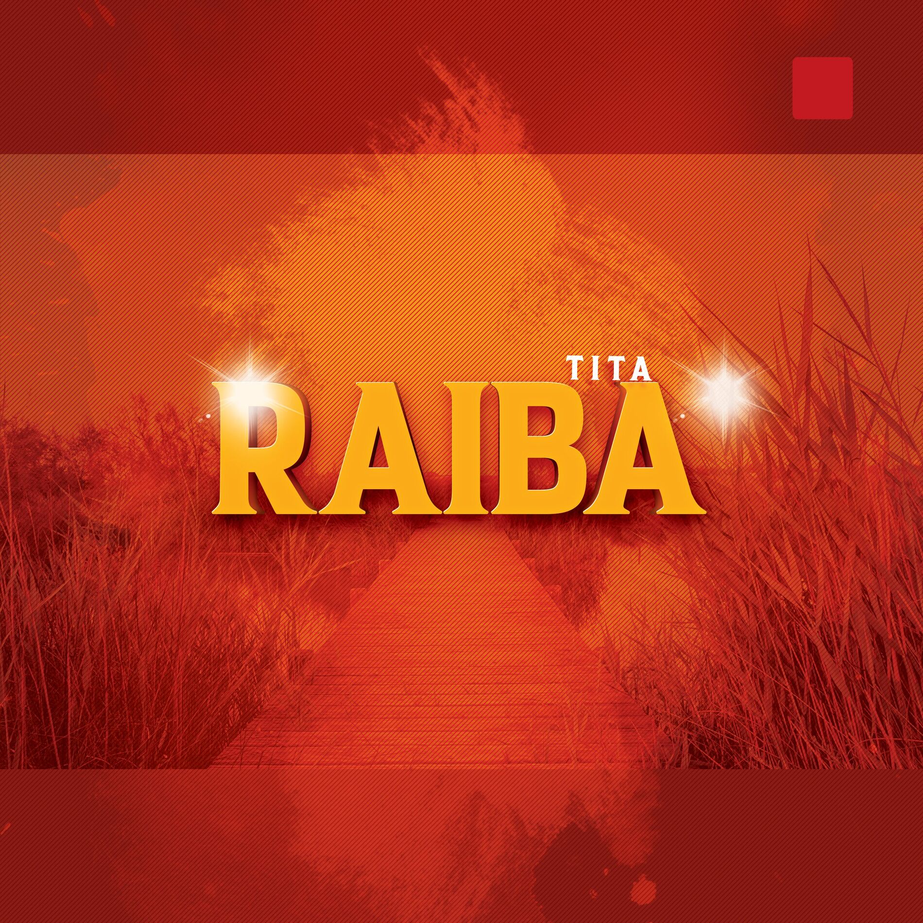 Album cover of Raiba