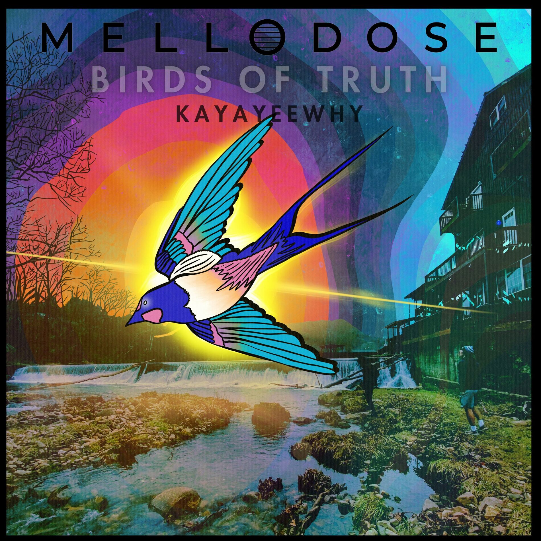 Album cover of Birds of Truth