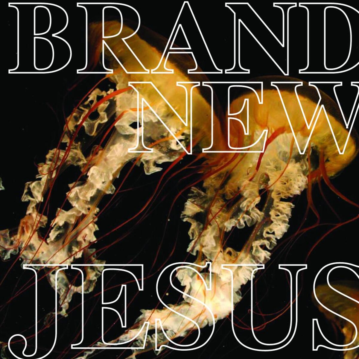 Album cover of Jesus Christ