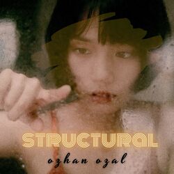 Cover of Structural