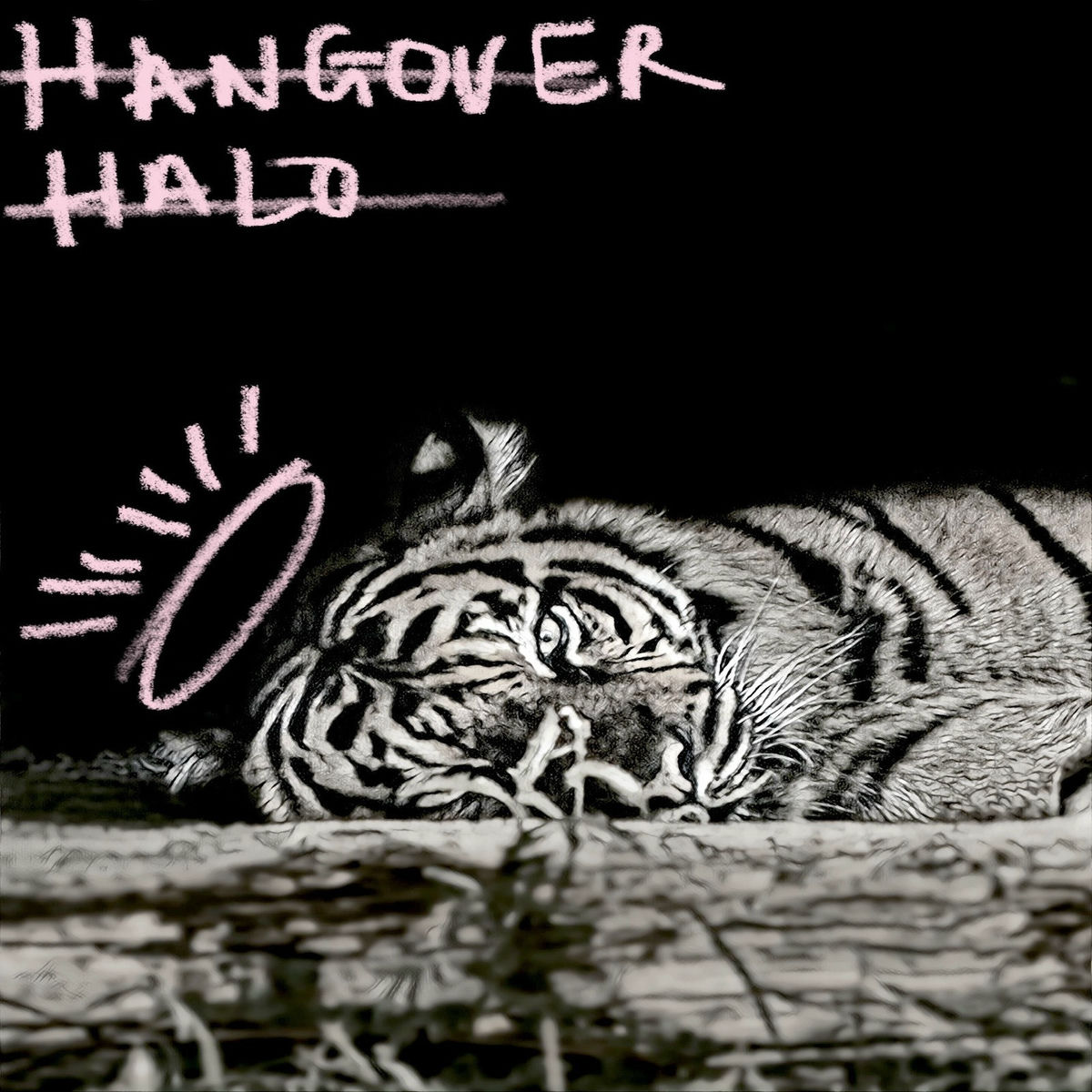 Album cover of Hangover Halo