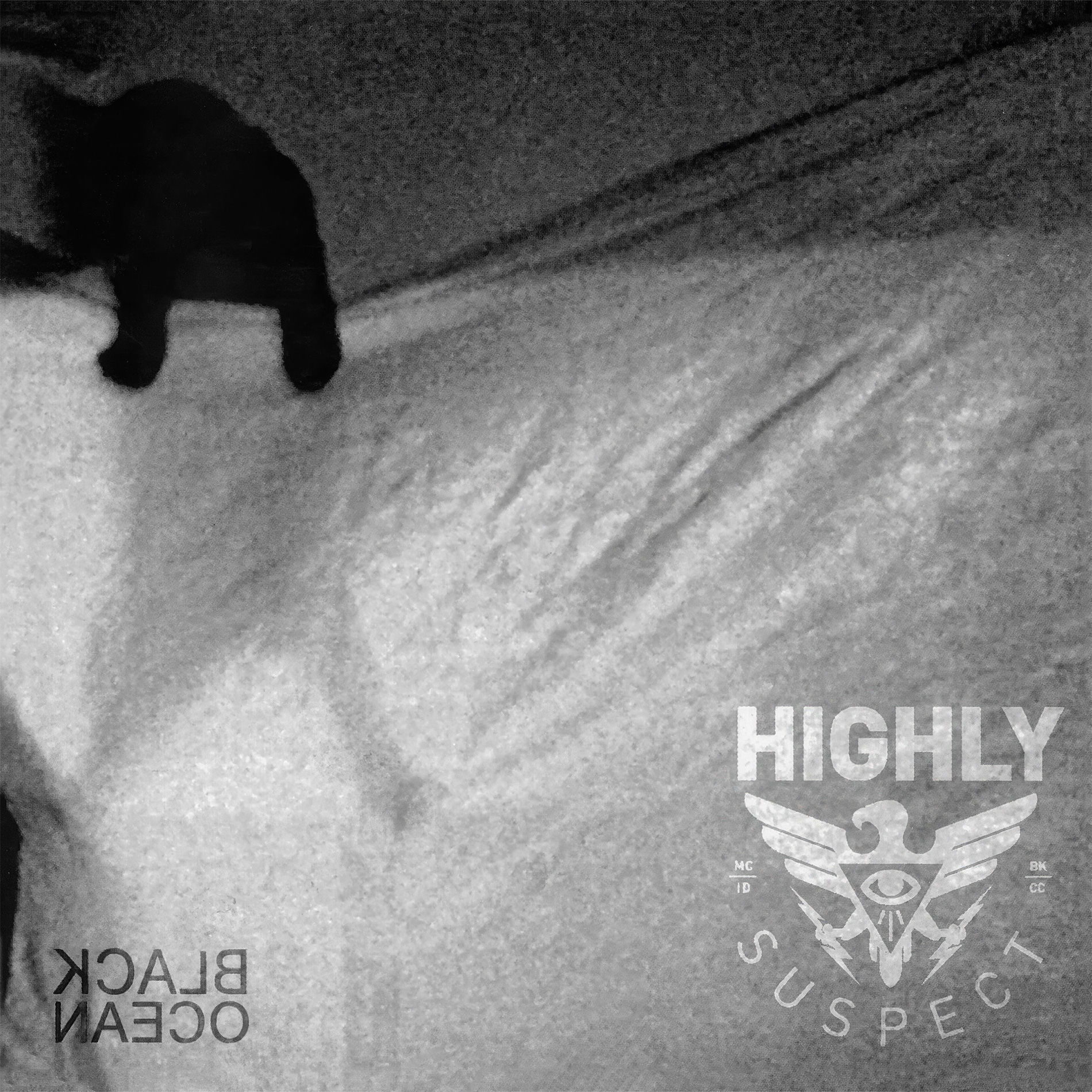 Album cover of The Go