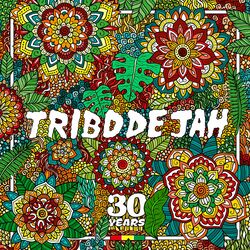 Cover of Come to the Vibe (30 Years)