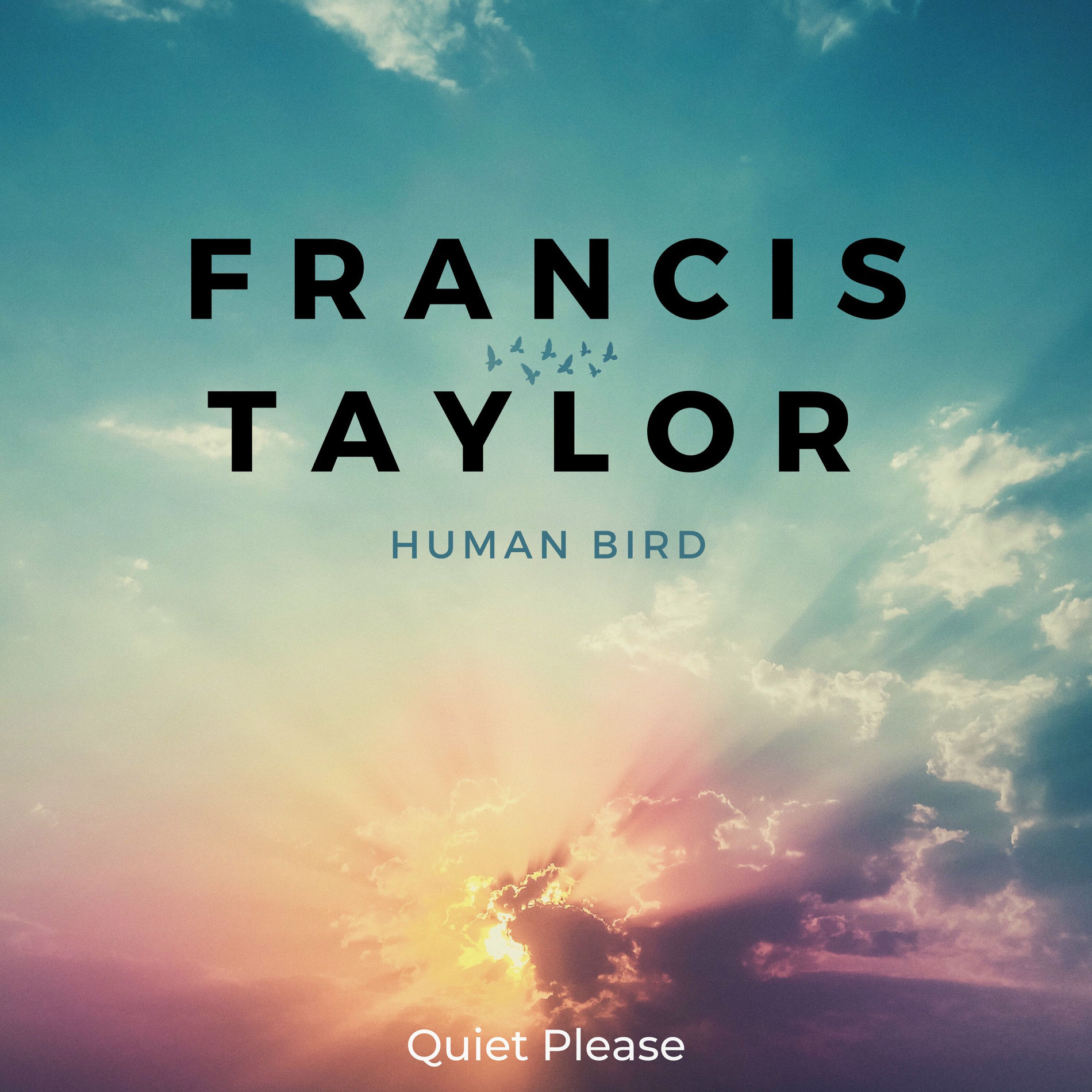 Album cover of Human Bird