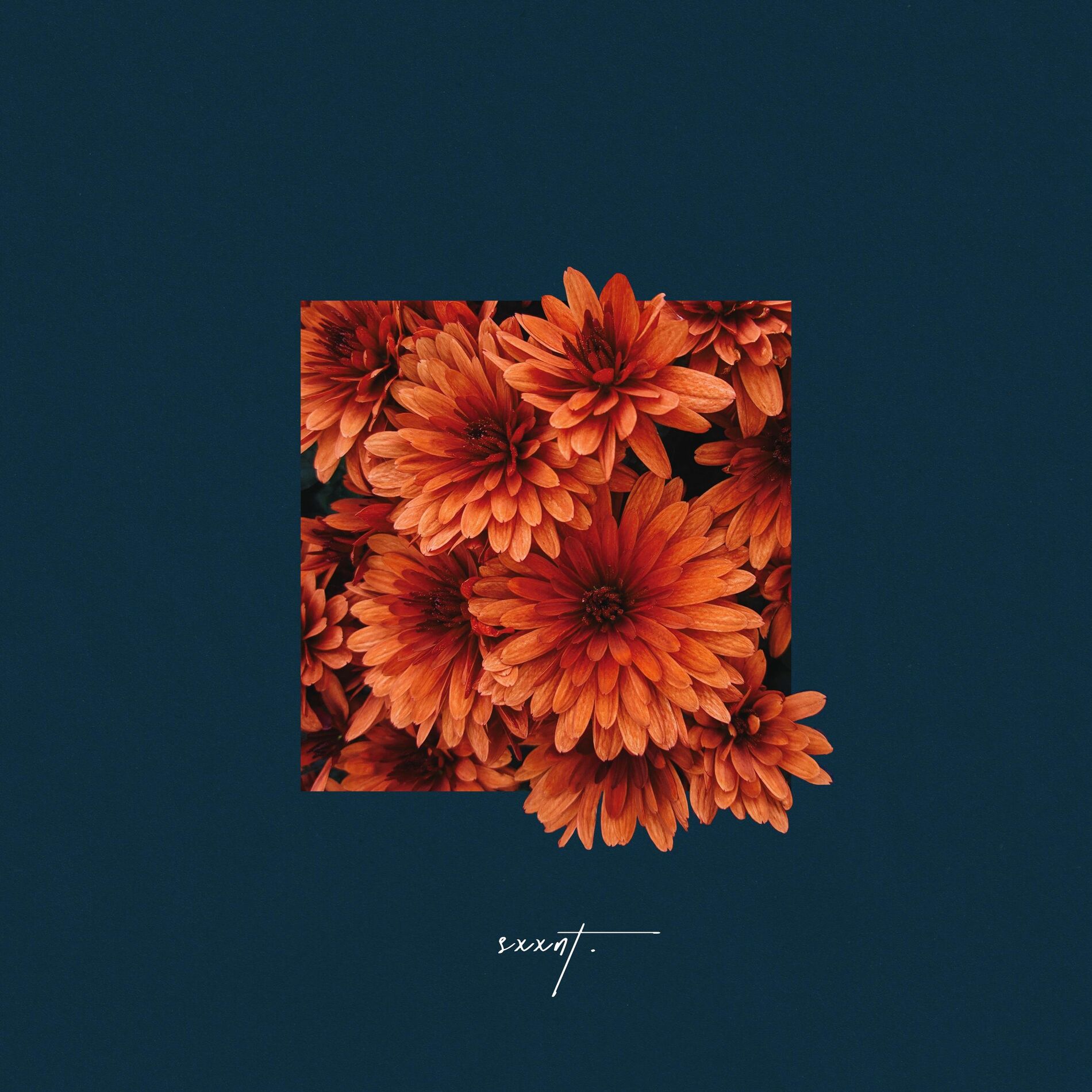 Album cover of In The Space Between