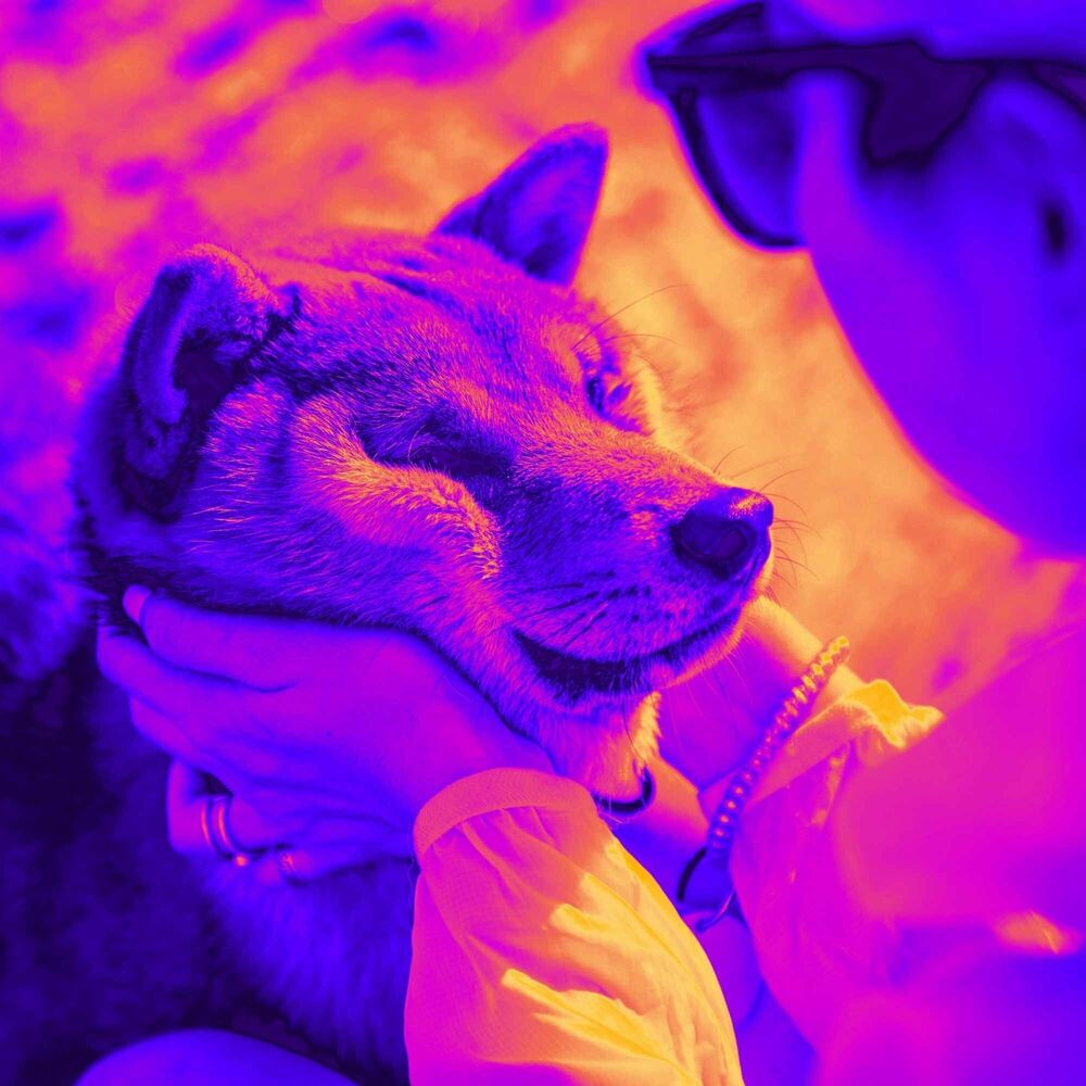 Picture of Jazz Guitar - Background Music for Calm Doggo