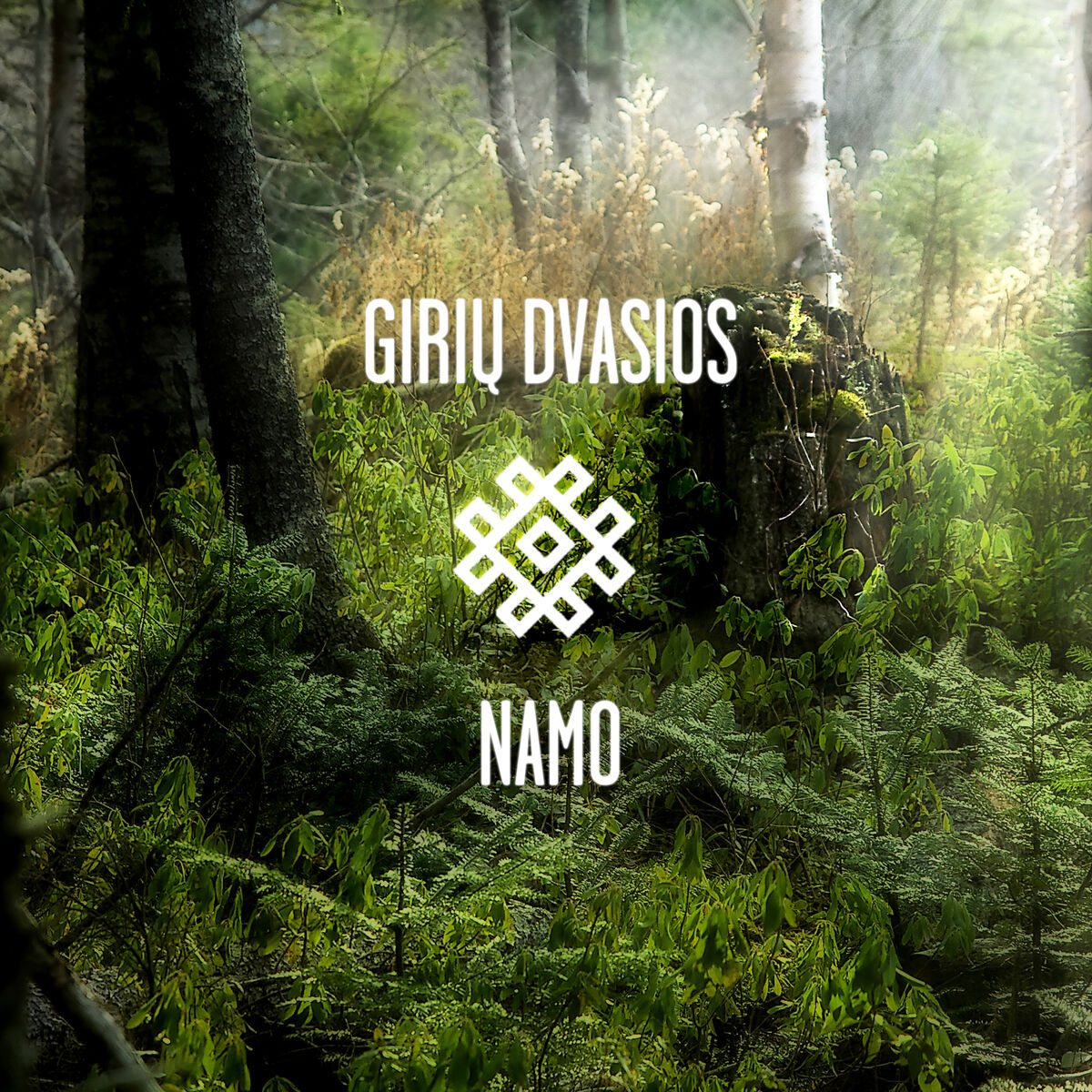 Album cover of Namo