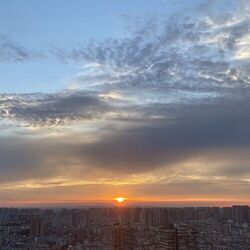Cover of 星空