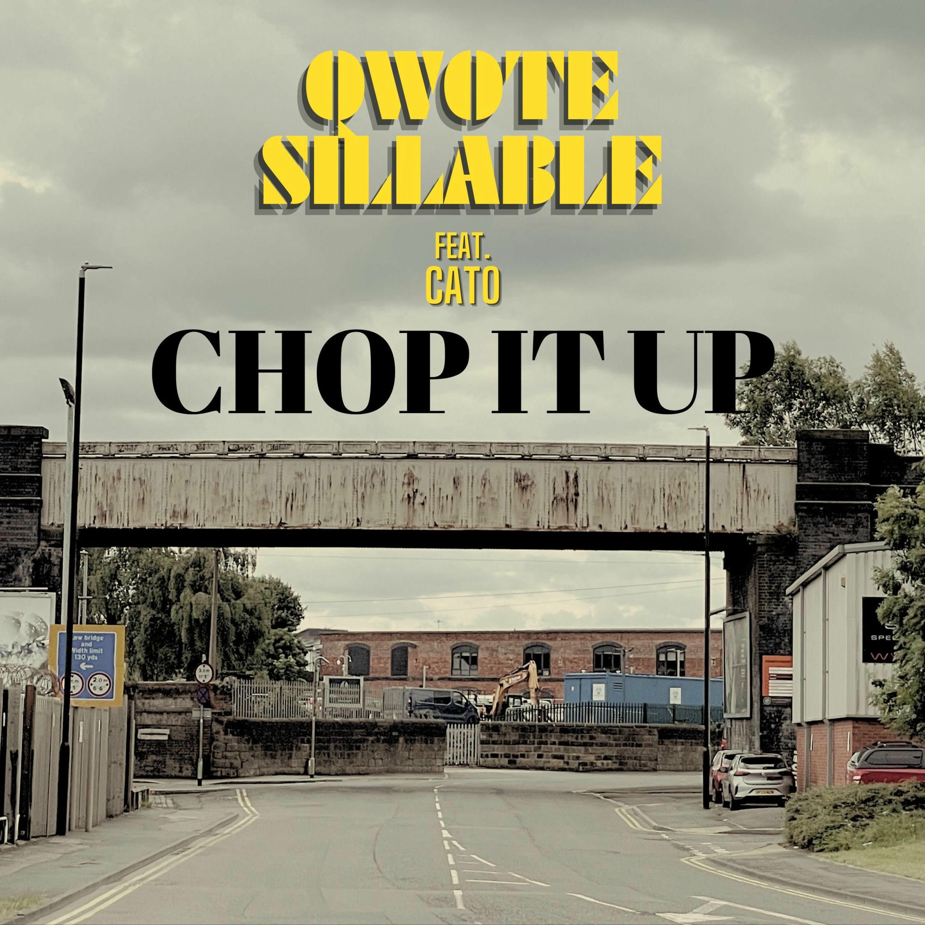 Album cover of Chop It Up (feat. Cato)
