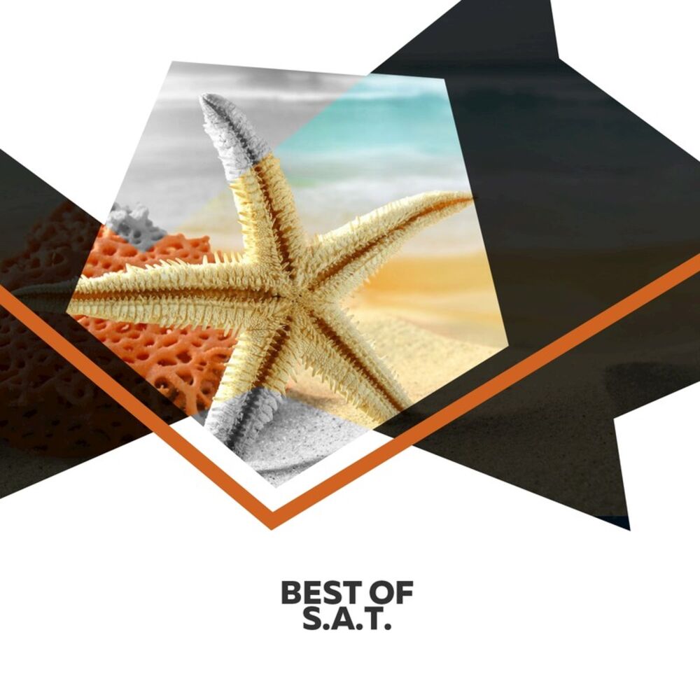 Picture of Best Of