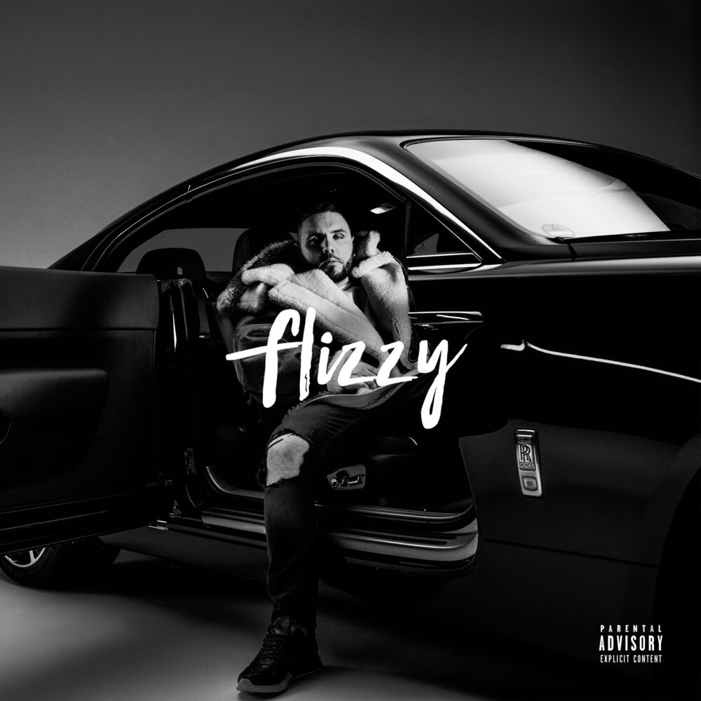 Picture of Flizzy (Premium Edition)