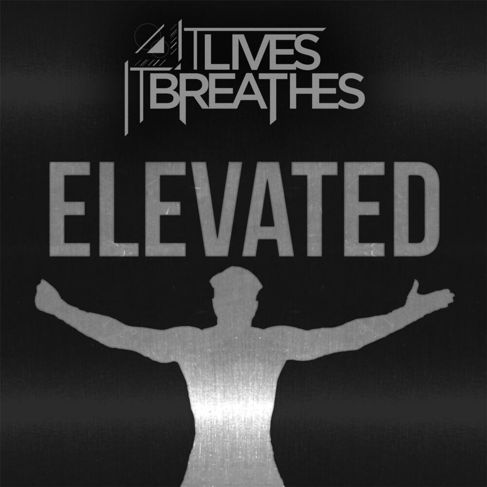 Picture of Elevated