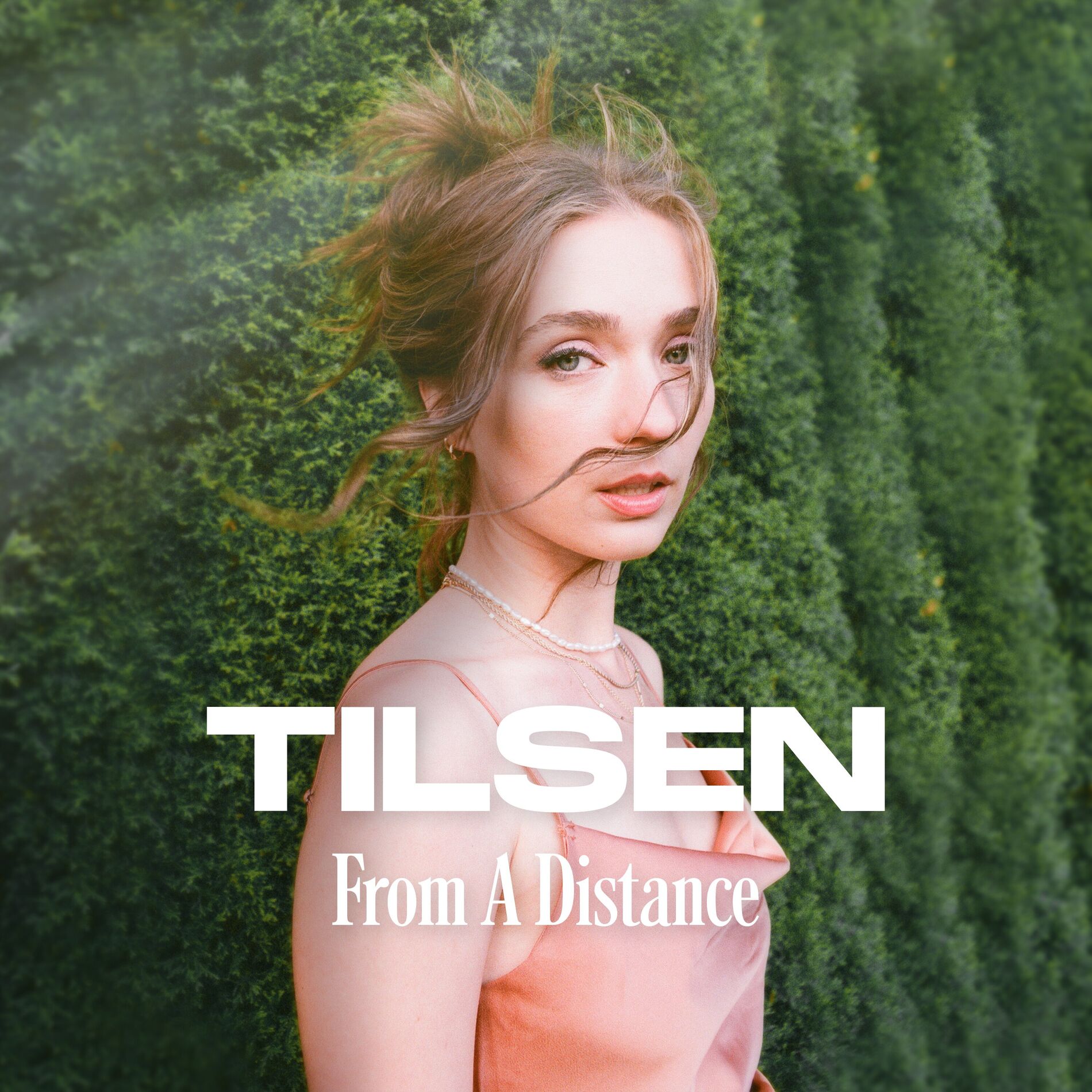 Album cover of From A Distance