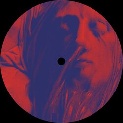 Cover of The Midnight Zone