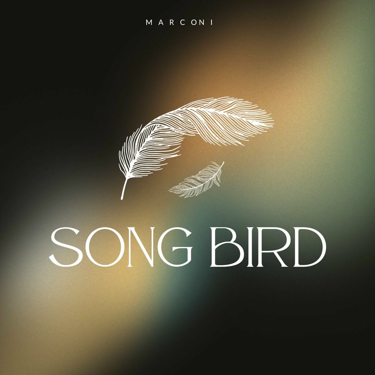 Album cover of Song Bird