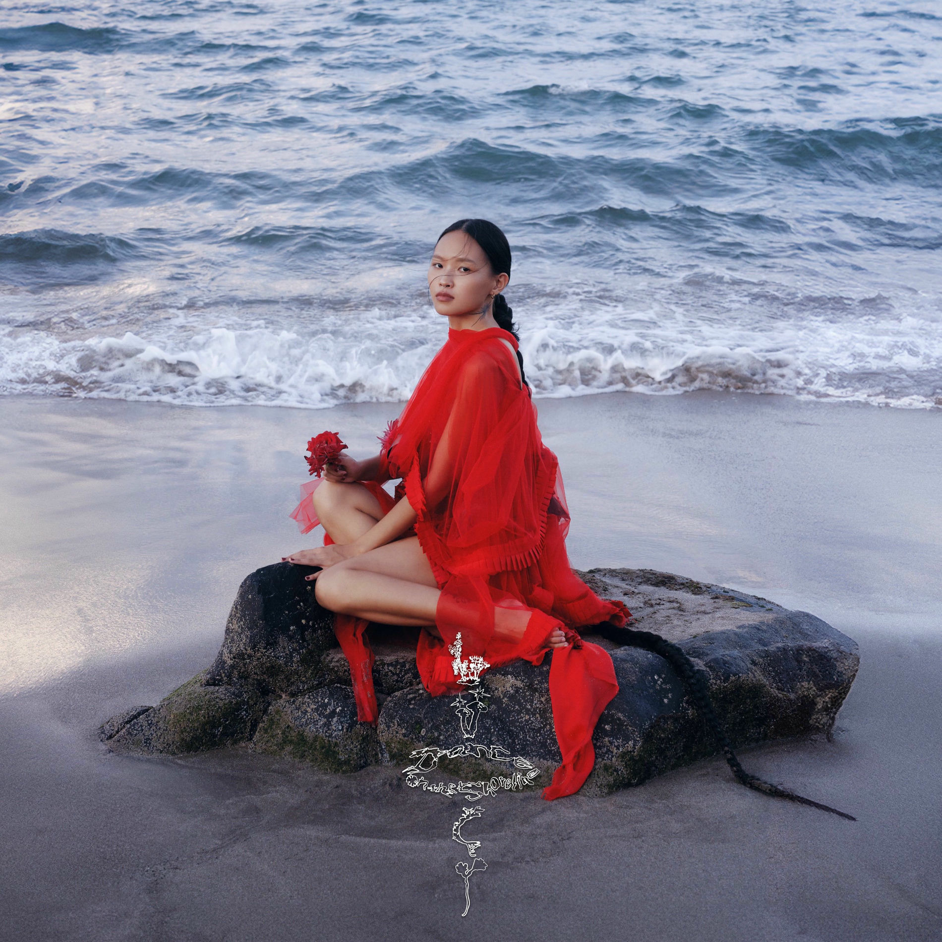 Album cover of Dance on the Shoreline