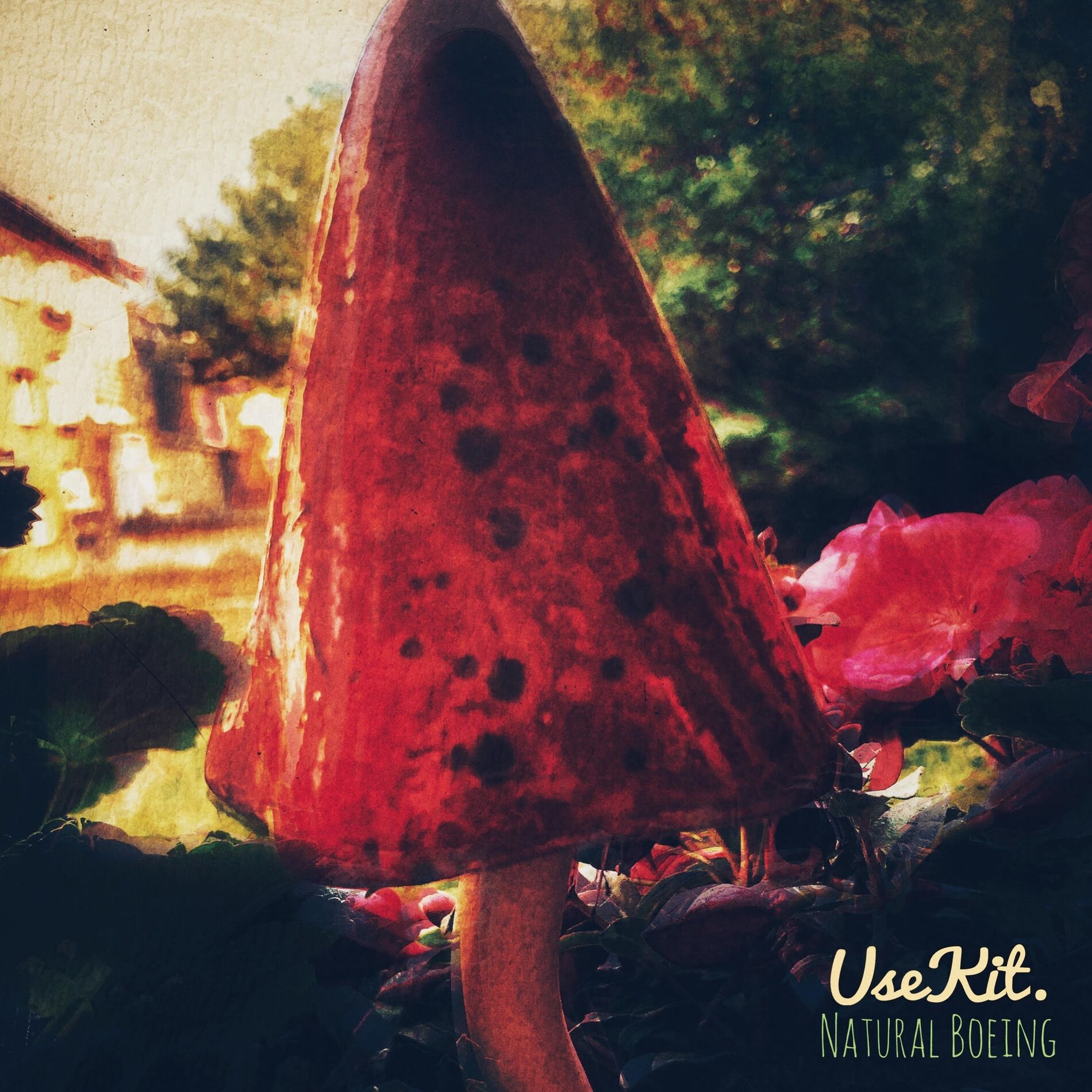 Album cover of Natural Boeing